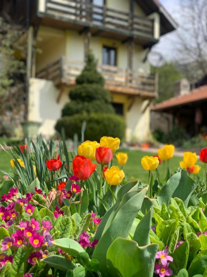 Vila Djordjevic - Priroda Vas Okruzuje Brus Exterior foto